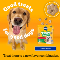 Mars Pedigree at Walmart