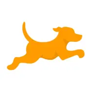 Download Fetch Rewards App